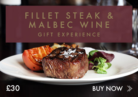 Fillet steak & malbec wine experience